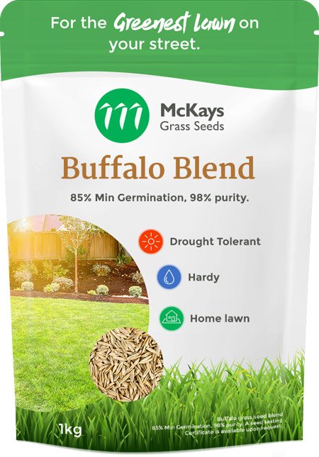 buffalo lawn seed blend